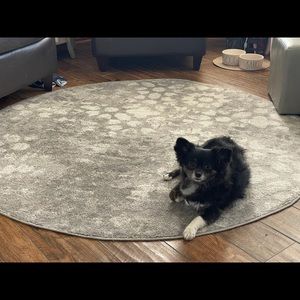 Meet your Posher, Rosana